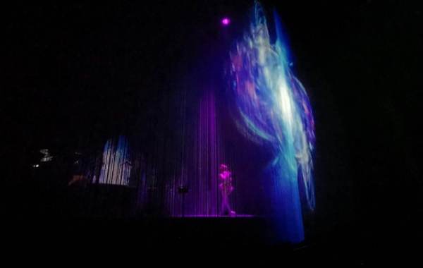 Bjork en México Fotos cornucopia