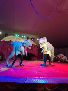 Circo hermanos corona precio