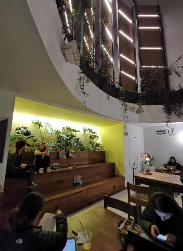 Cafeterías en La Condesa