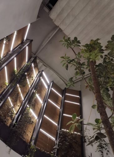 Cafeterías Pet Friendly