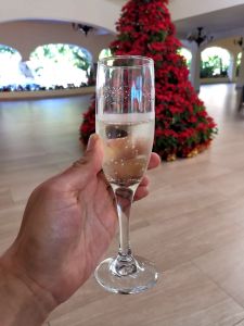 Mejores hoteles de Puerto Vallarta