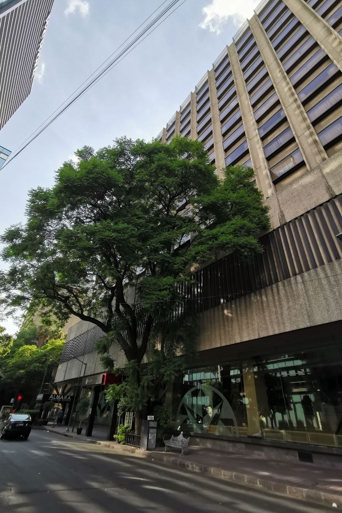 Hoteles Colonia Juárez