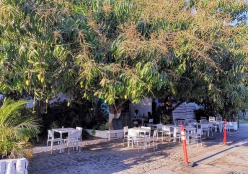 historia restaurante la sal nico mejía