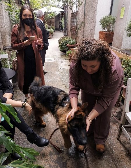 restaurantes pet friendly cdmx