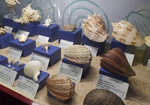 Museo del Mar Mazatlán