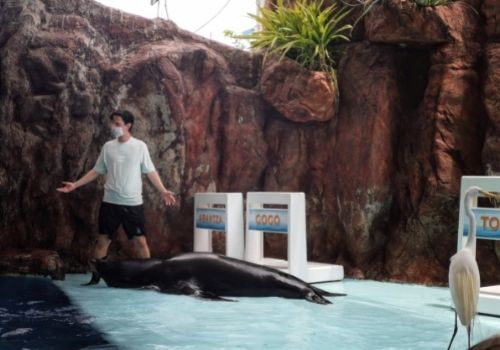 qué hacer en mazatlán