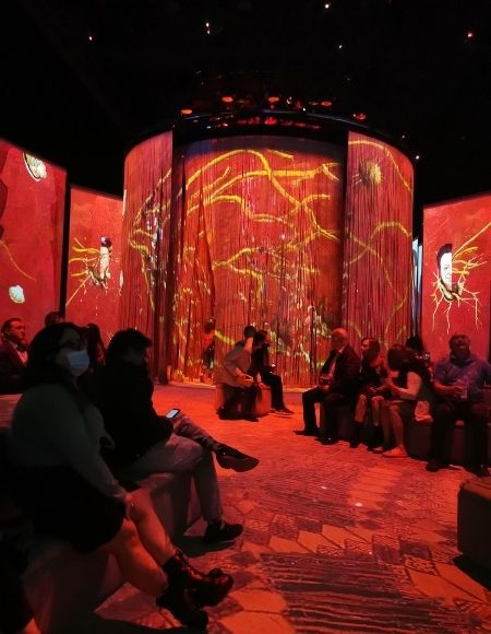 frida inmersiva descuentos