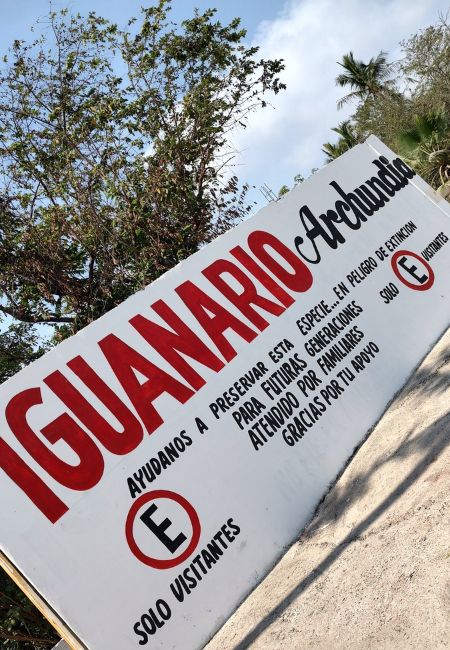 Iguanario Archundia Manzanillo