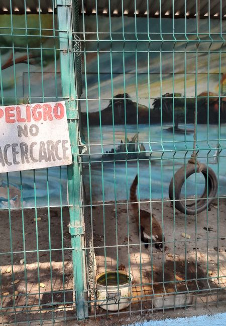 qué hacer en Manzanillo 2022