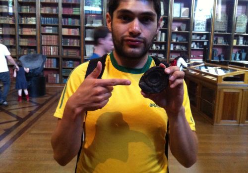 Fosil Museo Británico