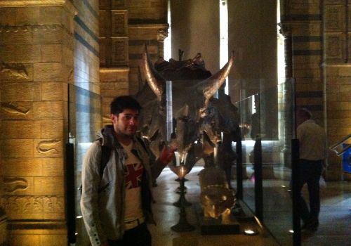 Triceratops Museo de Historia Natural