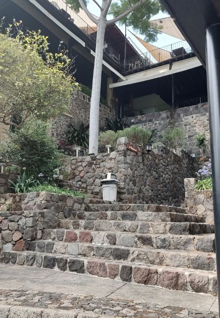 el jacal de san antonio opiniones