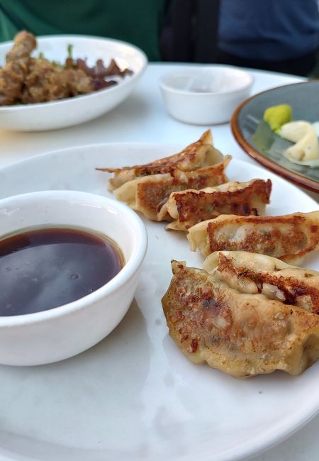 gyozas de pato