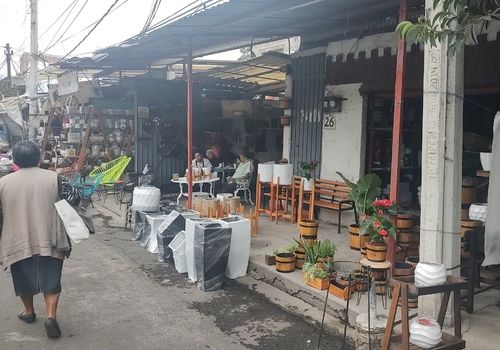 mercado de plantas nativitas donde está
