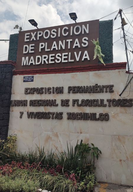 mercado de plantas y flores madreselva