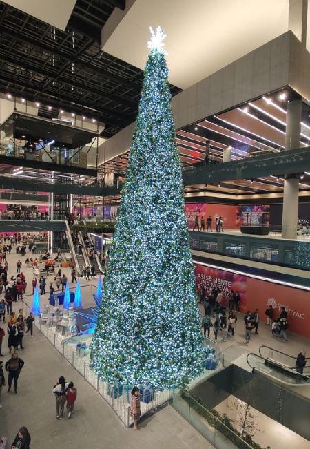 parque tepeyac apertura