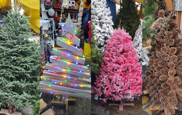 Árboles de Navidad en el Mercado de Jamaica