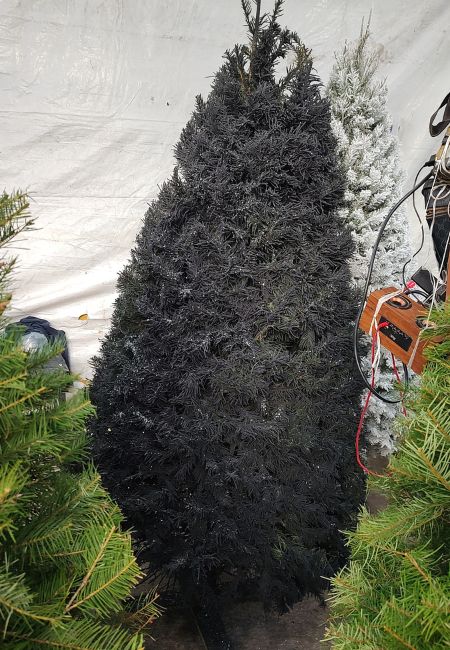 comprar arbol de navidad natural negro