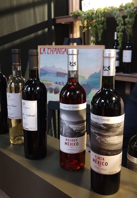 bodegas de santo tomas nación de vinos