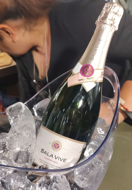 freixenet nacion de vinos