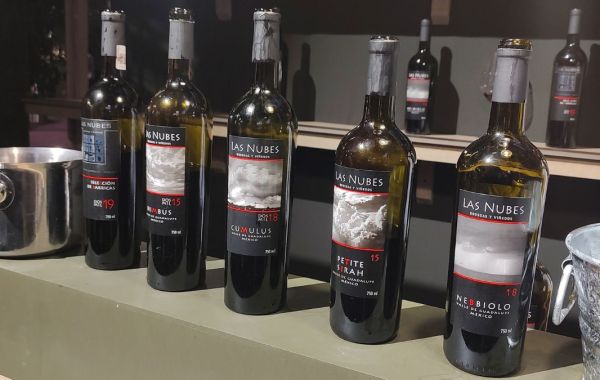 Nación de Vinos 2023