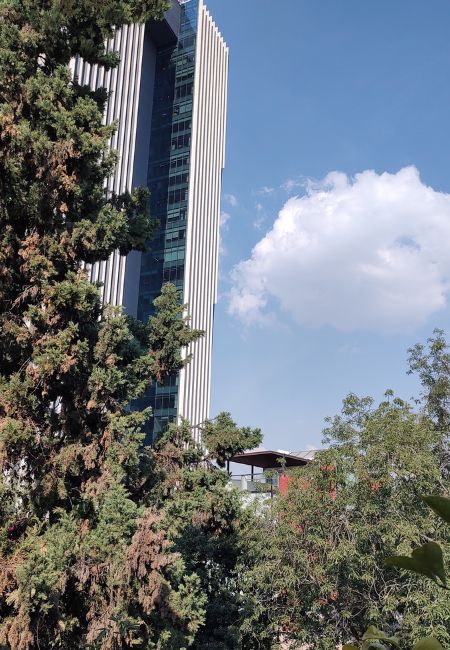 ajoblanco terraza restaurante