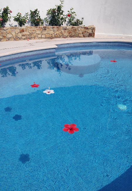 hoteles con alberca en habitación