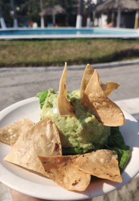 club de playa galeria plaza veracruz snacks