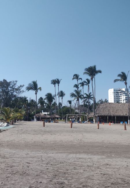 galeria plaza veracruz playa