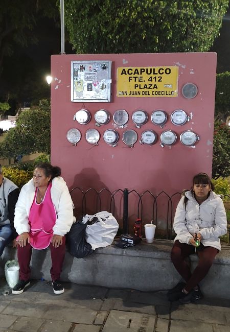 el coecillo las perdidas leon