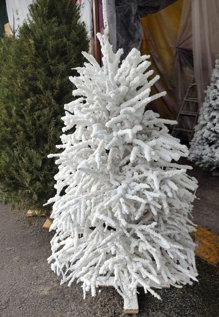 arbol de navidad natural blanco mercado de jamaica