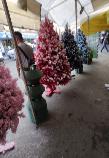 arboles naturales de colores con nieve
