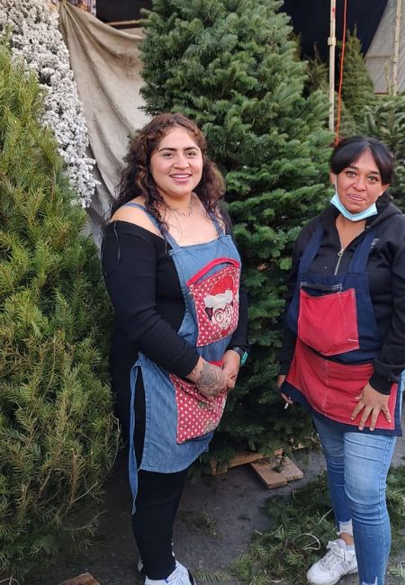 comprar arboles de-navidad en jamaica 2023