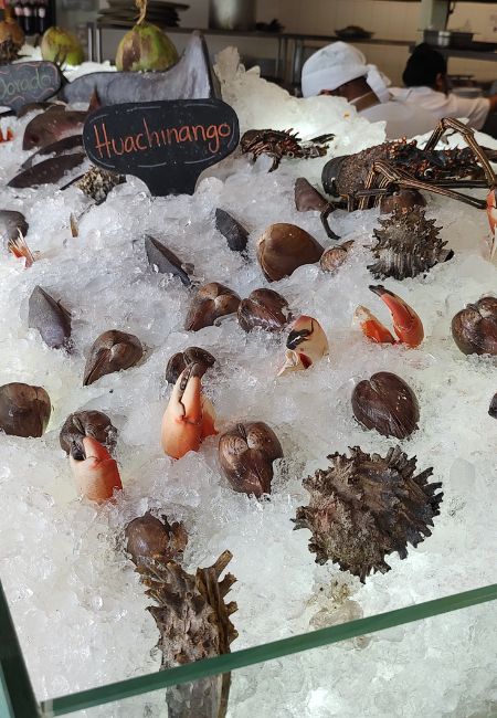 Restaurante-Barracuda-Coyoacán-Fotos