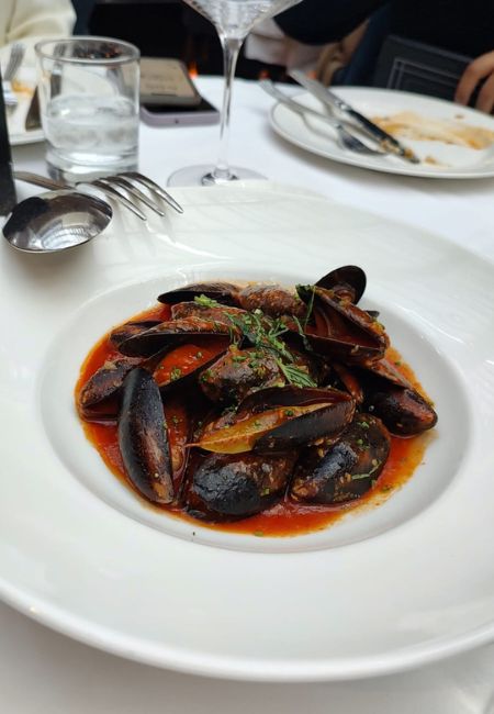 TATEL Ciudad de Mexico Opiniones