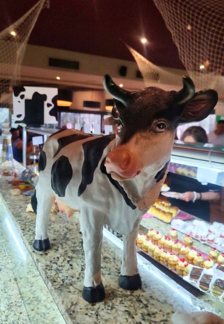 buffet la vaka opiniones