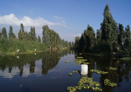 cambio climatico chinampas tlahuac mexico