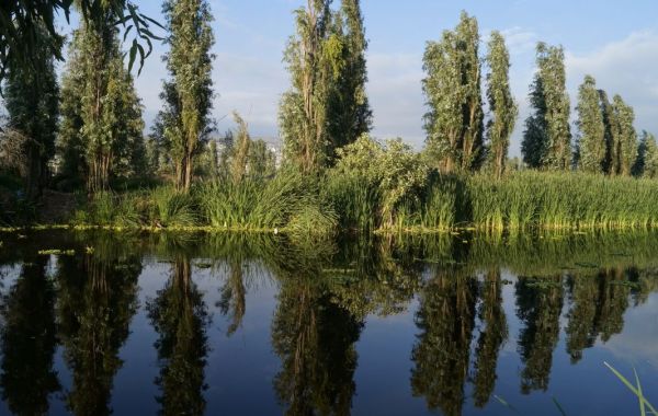 recorrido chinampas de tlahuac