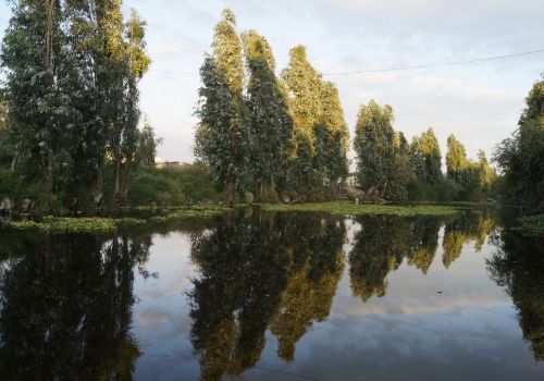 recorrido trajinera chinampa tlahuac