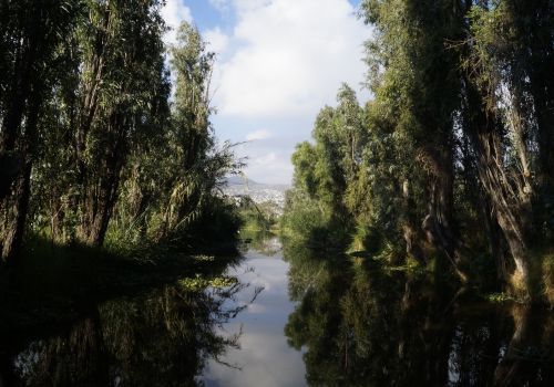 Tour por las chinampas de Tláhuac